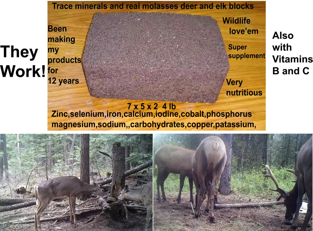 Homemade 4 Lb Trace Mineral and Molasses Blocks for Deer and Other