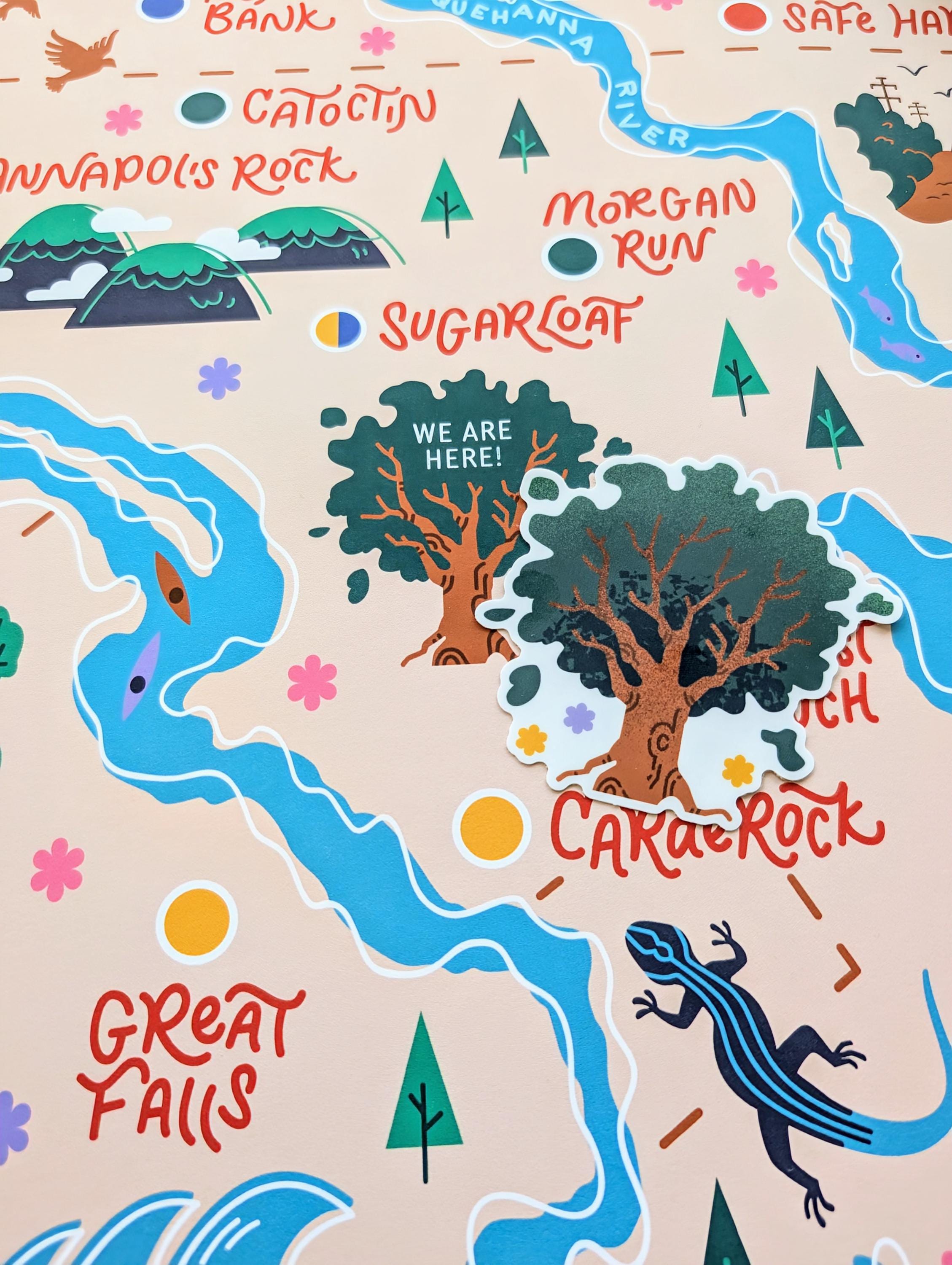 DMV Local Crags Map Mural Stickers - Etsy