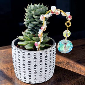 Può includere: Una pianta succulenta verde in un vaso cilindrico bianco con motivi ovali verticali neri. Un supporto per piante in filo dorato presenta piccole perline traslucide con centri rosa e un grande cristallo sfaccettato iridescente appeso.