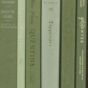 Op de afbeelding: Een stapel van zes groene hardcover boeken met gouden letters op de ruggen. De titels zijn "The Valley of Horses", "Treasuring the Gift of Tea Time", "Quentins", "Tipperary", "East of the Mountains" en "Girl Hunter".