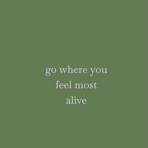 Op de afbeelding: Een groene achtergrond met witte tekst die "go where you feel most alive" zegt.