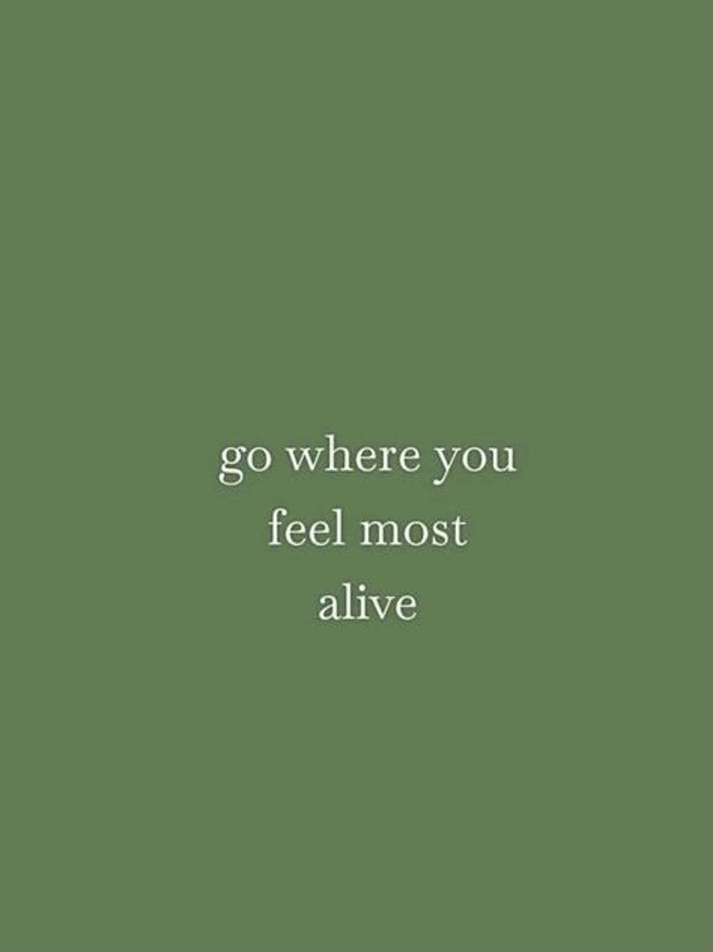 Op de afbeelding: Een groene achtergrond met witte tekst die "go where you feel most alive" zegt.