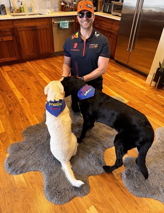 F1 dog cheap collar