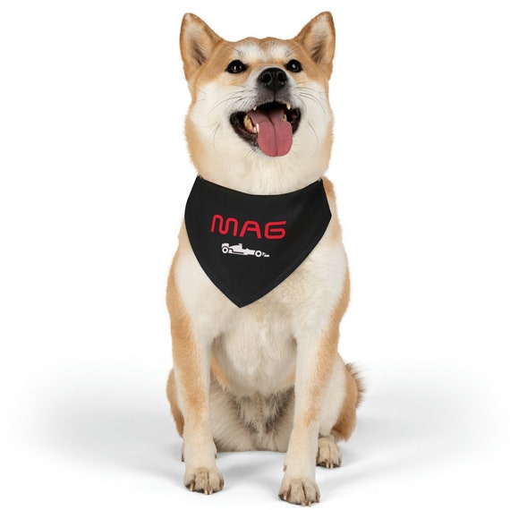 Formula 1 store dog collar