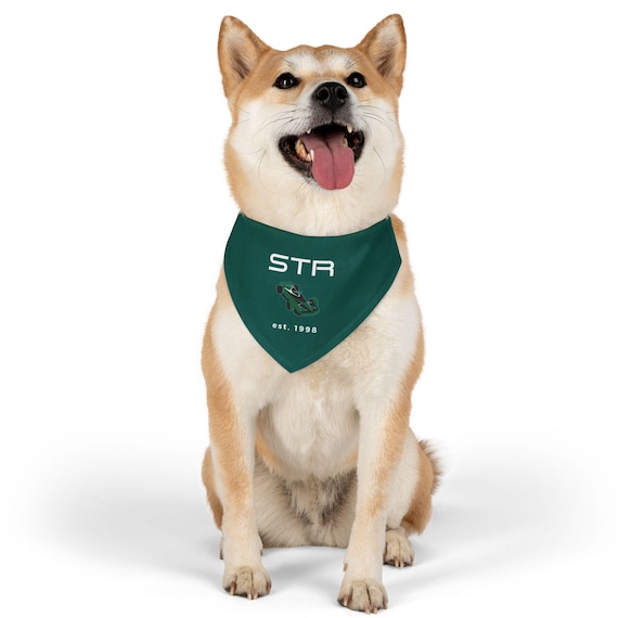 Lance Stroll Dog Bandana Collar F1 Dog Collar Formula 1 Shirt Gift Merch Aston Martin Racing Pet Formula One furry friend Fernando Alonso