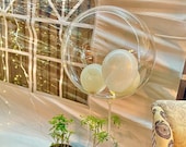 Top Ten Bobo Ballon, zelf vulbare ballon, 40cm, transparant