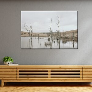 Puede incluir: Una fotografía en blanco y negro de un lago con árboles desnudos reflejados en el agua. Los árboles están en primer plano y el lago está en el fondo. El cielo está nublado y gris.