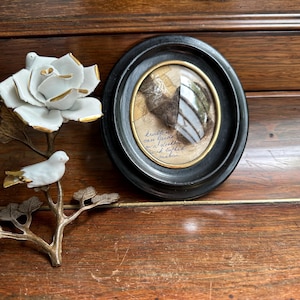 Victorian Mourning Keepsake – Human Hair Memento for Gerda (ca. late 19th–early 20th century)