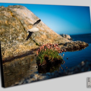 Verdens Ende Seagull プリント: 夏のオスロフィヨルドの風景ウォールアート