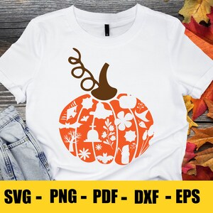 Kürbis SVG, Herbst SVG, Halloween SVG, Thanksgiving SVG, Swirly Kürbis Png, Wildblumen, Dateien für Cricut, Sublimation Designs Downloads