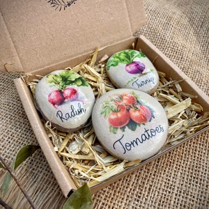 Marqueurs de plantes, plaques de légumes, galets décoratifs, art de la pierre, cadeau pour jardinier, décoration de jardin, décoration de chambre d'enfant