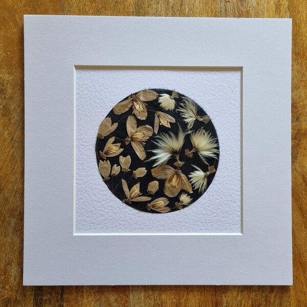 Pressed Flower Frame Etsy UK