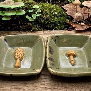 May include: Two square ceramic dishes with a sage green glaze and dark brown accents. Each dish features a small, three-dimensional sculpted mushroom in the center. One dish displays a morel mushroom, while the other features a rounded cap mushroom.