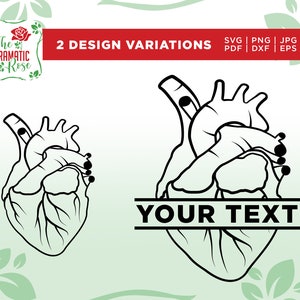 Herz-Kreislauf SVG, Techniker mit anatomischem Herz SVG, Vektor Clipart, Kommerzieller & persönlicher Gebrauch, Dateien für cricut, Cameo, Silhouette