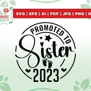 Promoted to Sister Svg, Png, Baby Announcement svg, Established svg, Sister est svg, coming soon svg, Printable, Silhouette,files for cricut