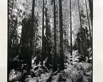 Dark Forest Linocut Print – Mystic Nature Wall Art, Black Botanical Art (60x80cm)