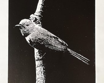 May include: A monochrome illustration of a bird perched on a branch. The bird is depicted with detailed feathering and a long tail. The branch is textured, set against a black background.