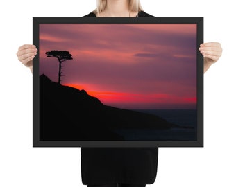 Framed Lone Tree Picture