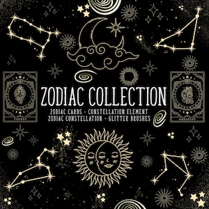 46 Kolekcja Zodiaku Celestial Procreate Brushes Procreate Brush Set Zodiac Stamps Tattoo Designs for iPad Zodiac Symbol Glitter Brushes