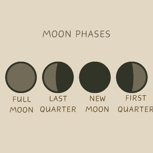 May include: Diagram showing the different phases of the moon, including full moon, last quarter, new moon, and first quarter.