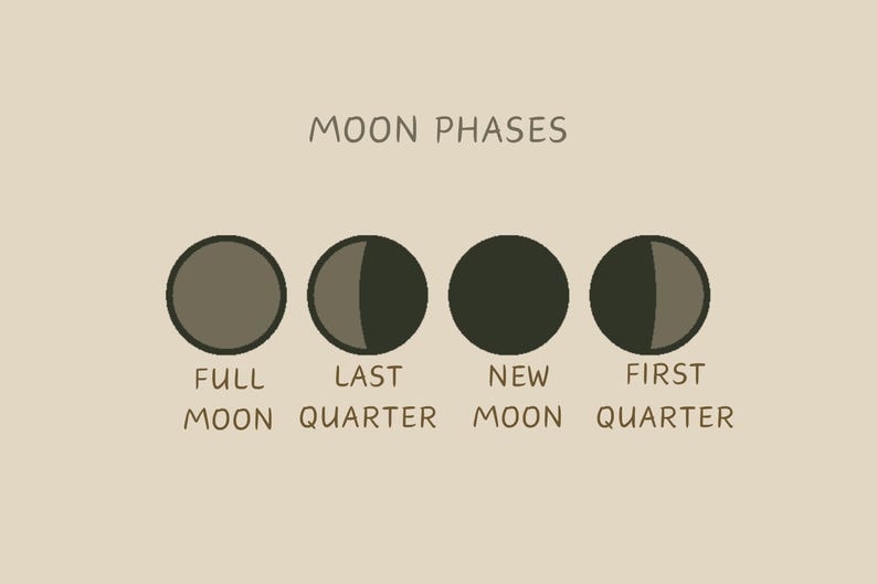 May include: Diagram showing the different phases of the moon, including full moon, last quarter, new moon, and first quarter.