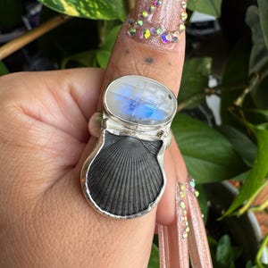 Silver Seashell Ring size 8.5