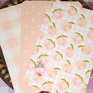 Peach Kindle Insert Bundle or Single With Option to add on Kindle Charm, Cottage Core Kindle Insert, Blue Bow Kindle