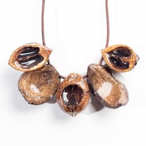 Unity Spirit Necklace, Unisex Gift For Fashion, Gift For Nature Lovers, Organic Nuts Coated In Resin, One Of A Kind Nature Pendant