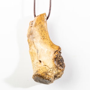 The Bone Charm Necklace, Handmade One Of A Kind Pendant, Gift For Anthropologists, Natural Found Bone Cracked Coated In Epoxy Resin