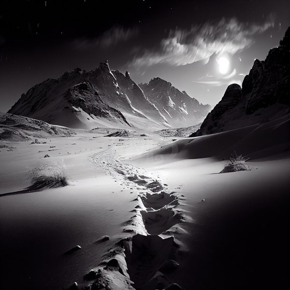 Footsteps Photography Lights
