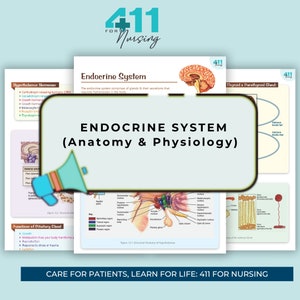 May include: A diagram illustrating the anatomy and physiology of the endocrine system. The diagram shows the location of the glands and their secretions. The text reads "Endocrine System (Anatomy & Physiology)".