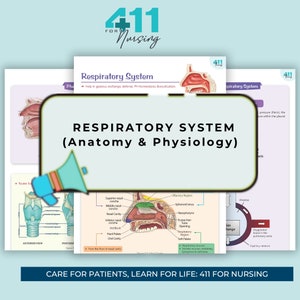 Respiratory System Anatomy & Physiology Guide | Study Posters (Digital Download)