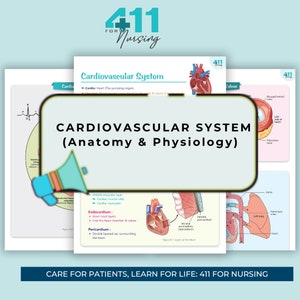 Cardiovascular System Study Guide A&P | Study Notes |Revision Notes |Study Posters | Anatomy | Digital Download