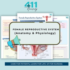 Female Reproductive System Anatomy and Physiology |Revision Notes |Study Posters | Digital Download
