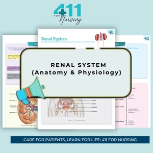 Pode incluir: Um diagrama do sistema renal humano, mostrando os rins, os ureteres, a bexiga e a uretra. O texto "SISTEMA RENAL (Anatomia e Fisiologia)" é exibido em uma fonte grande na parte superior do diagrama. O texto "CUIDAR DE PACIENTES, APRENDER PARA A VIDA: 411 PARA ENFERMAGEM" é exibido na parte inferior do diagrama.