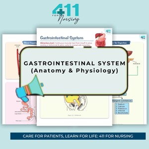 Gastrointestinal System Study Notes | Anatomy & Physiology | Nursing School | NCLEX