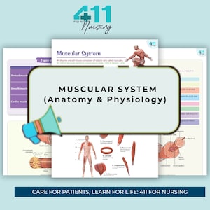 Muscular System | high level overview |Revision Notes |Study Posters| All Body Systems | Anatomy | Digital Download