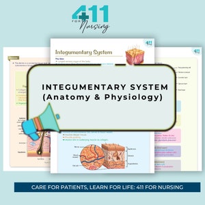 Integumentary System Anatomy & Physiology Study Notes |Revision Notes |Study Posters | Anatomy | Digital Download