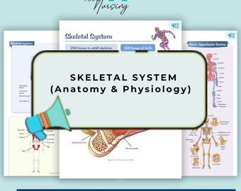 Guida allo studio del sistema scheletrico / Appunti di revisione di anatomia e fisiologia (download digitale)