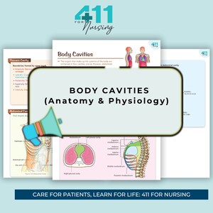 Body Cavities Anatomy, Physiology