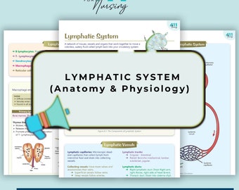 Lymphatic System A&P | Study Notes | Digital download