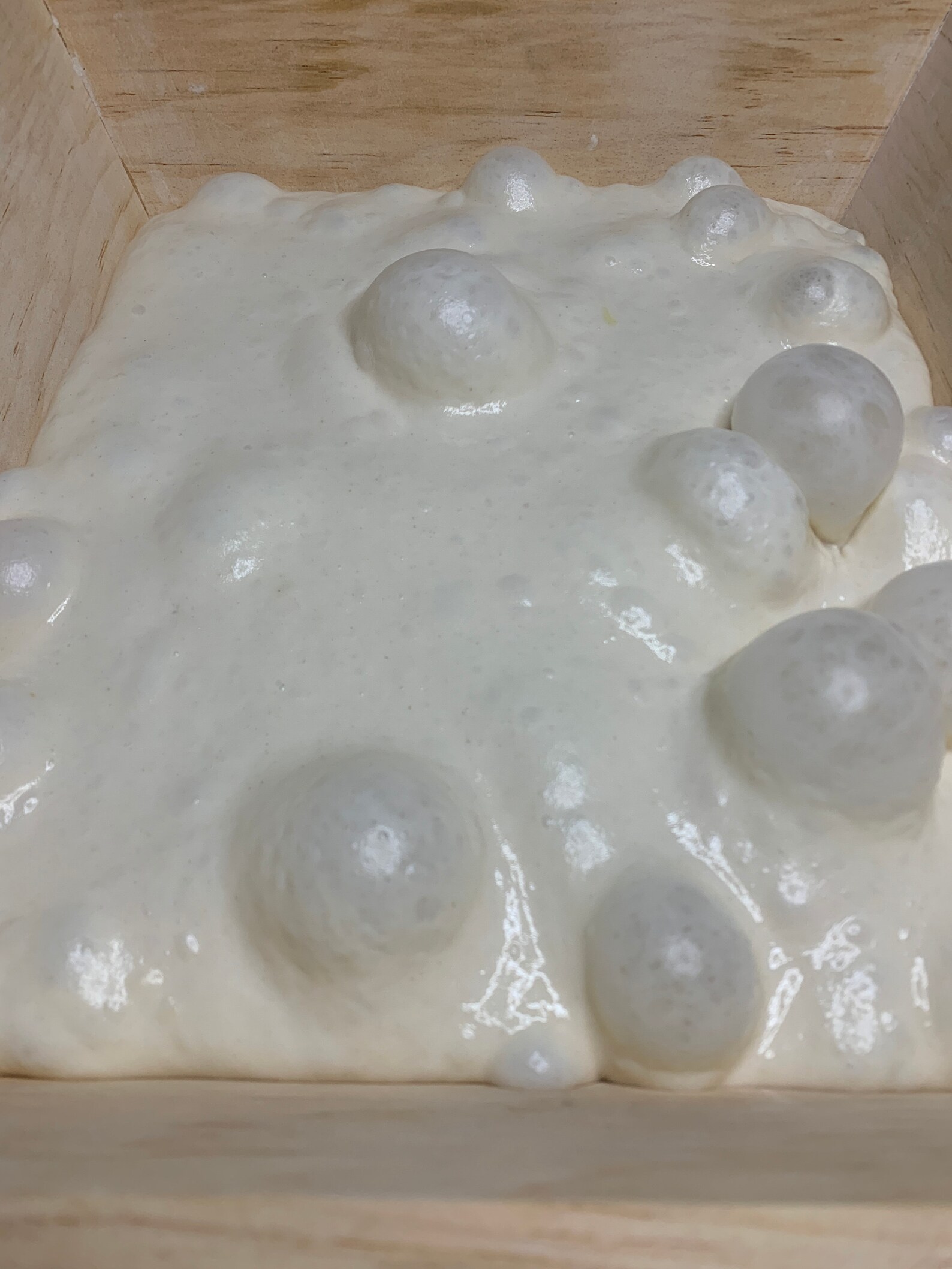 Madia pizza Dough Box Etsy Canada