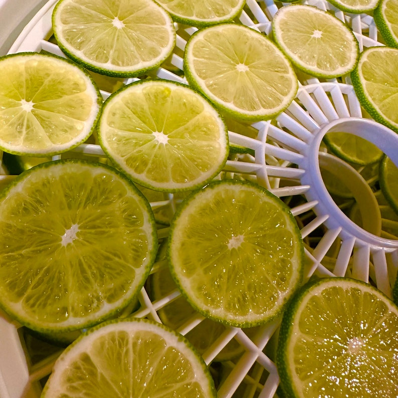 Pode incluir: Vista superior de limas fatiadas dispostas numa bandeja branca de desidrata&ccedil;&atilde;o. As limas s&atilde;o de cor verde vibrante com um centro amarelo p&aacute;lido. A bandeja de desidrata&ccedil;&atilde;o tem um design circular.