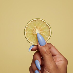 Dehydrated Lime Slices | Holiday Decor imagem 1