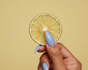 Dehydrated Lime Slices | Holiday Decor