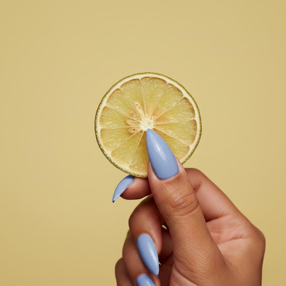 Dehydrated Lime Slices | Holiday Decor