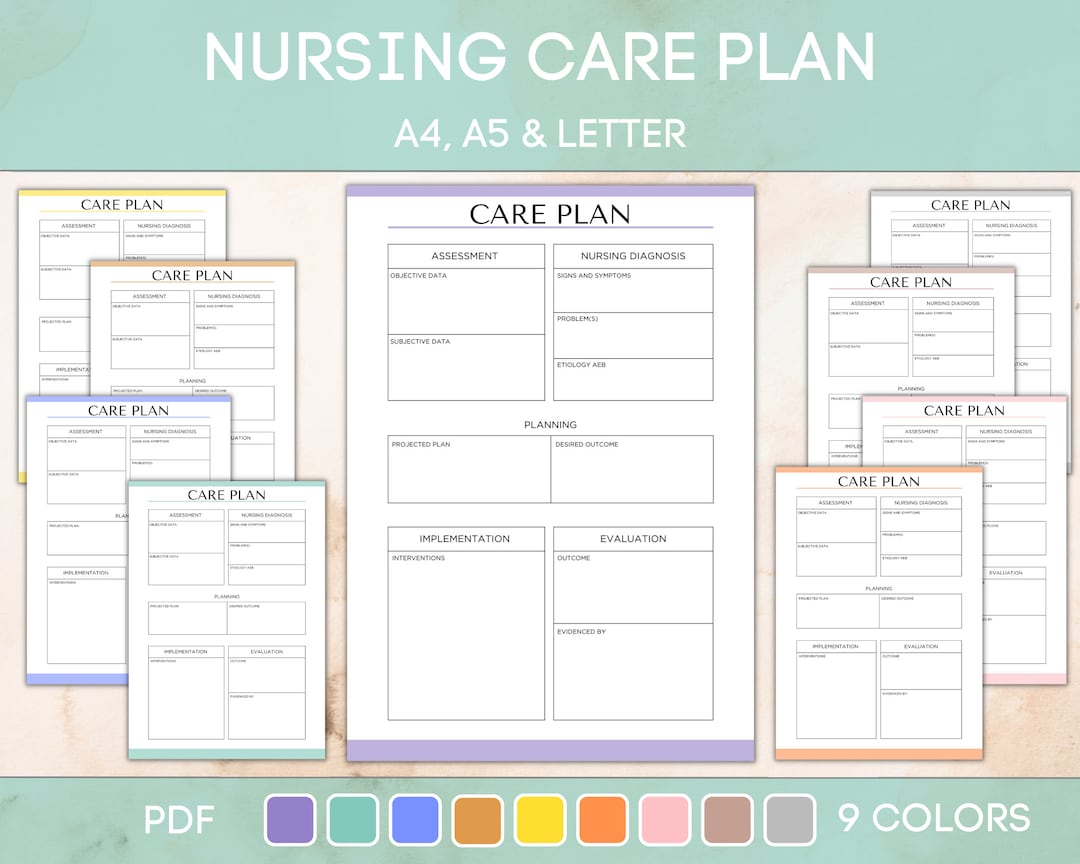editable-and-printable-nursing-care-plan-nursing-student-care-plan