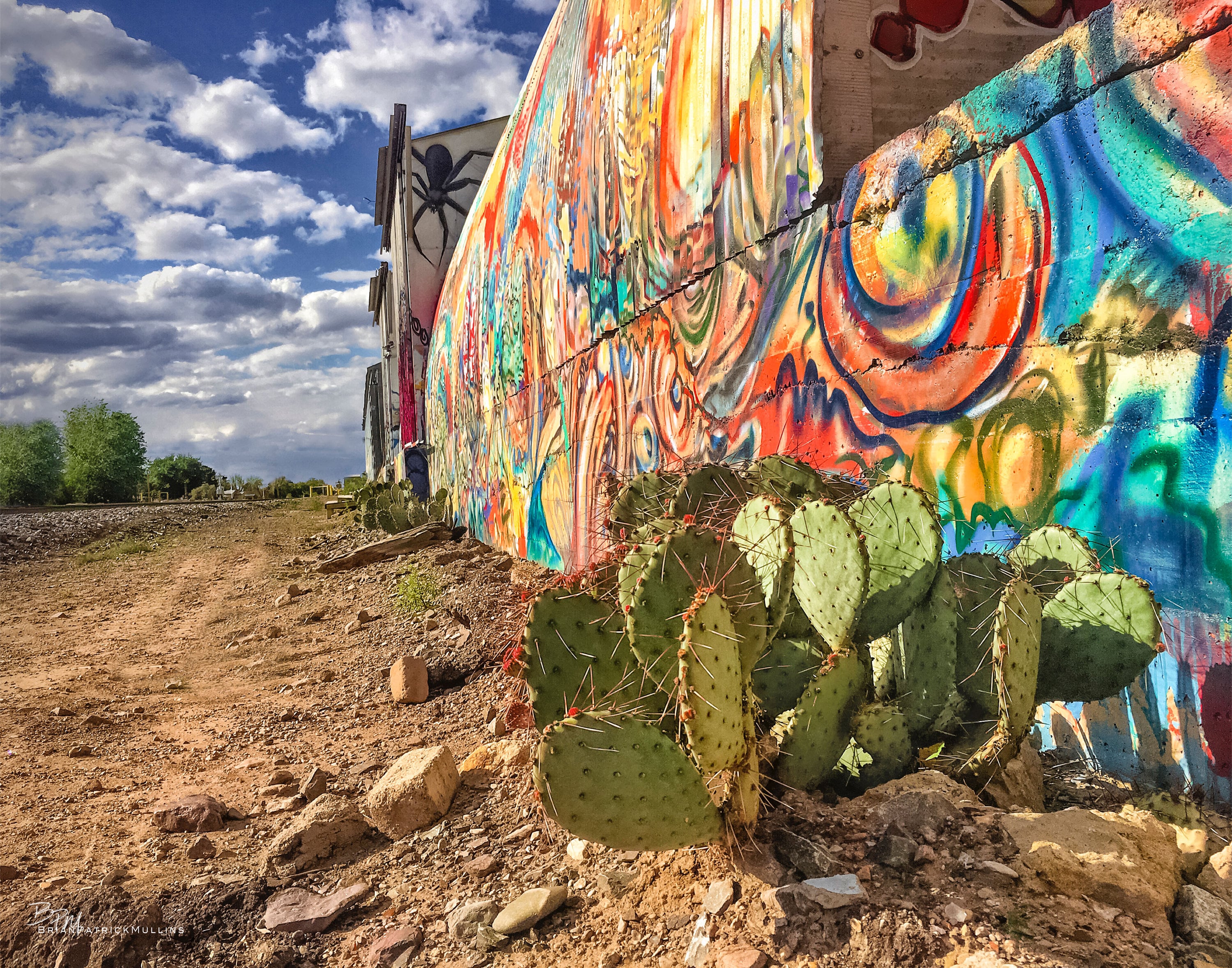 Graffiti Cactus Fine Art Print
