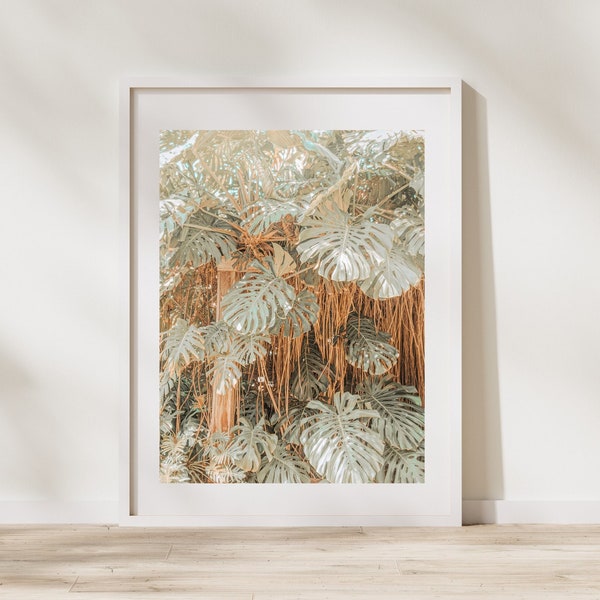 Monstera Wall Art- Plant photography, Boho decor, Monstera Deliciosa, Botanical wall print, Instant download, Living room wall art,