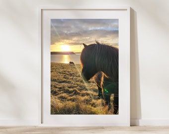 May include: Framed photograph of a horse in profile, set against a sunset over a body of water. The horse is dark brown with a long mane. The sky is a mix of orange, yellow, and gray.
